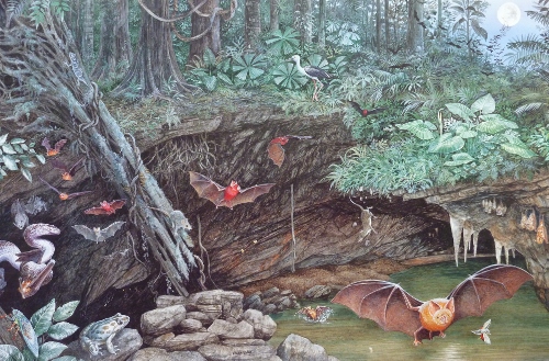 batcave1 (500x329).jpg
