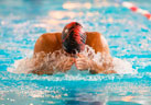 asceri-swimming.jpg