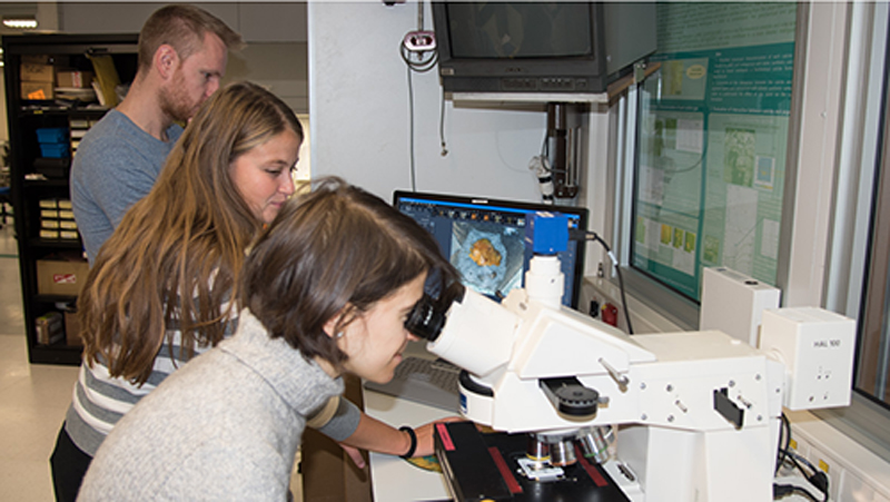 web-2016-11-23_ID21_USERS_MONICO-9.jpg (ID21_USERS TEAM_MONICO L)