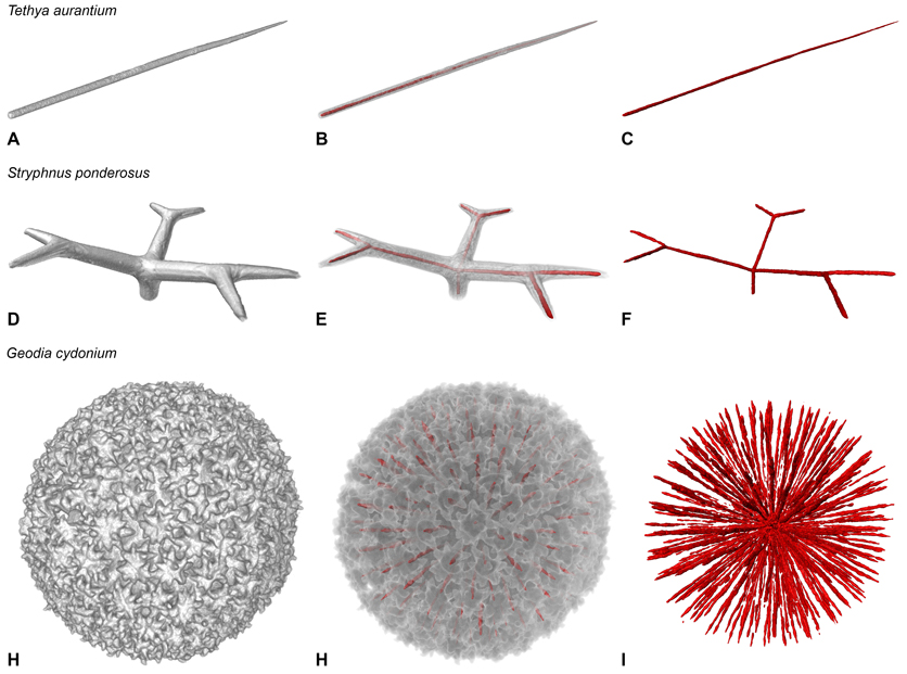 web-Figure-3-3D.jpg