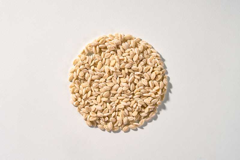 circle-carbiosactive.jpg