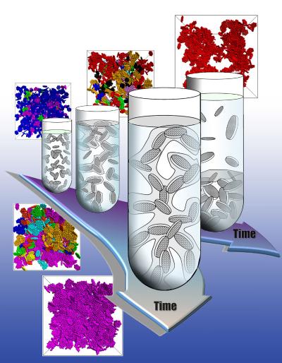 Formation of equlibrium gel