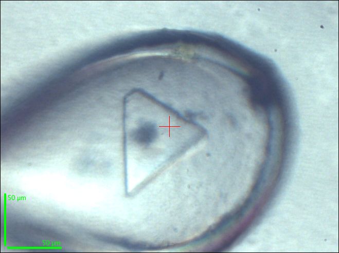 GPCR-crystal-photo