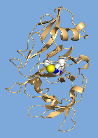 Molecular structure of Burkholderia lethal factor 1.