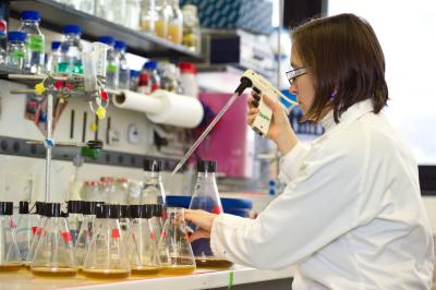 cloning at PSB technical platform