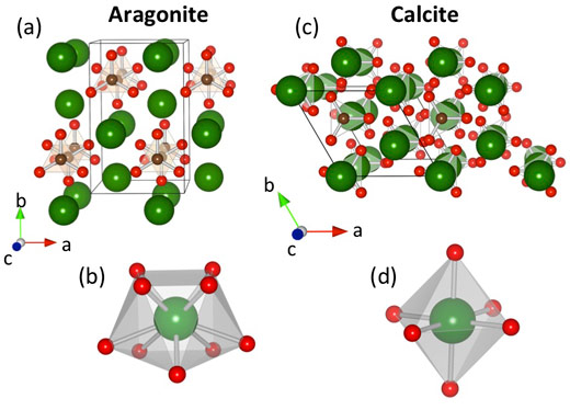 Schematic crystal structure of the CaCO3 polymorphs aragonite and calcite.