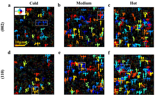 40 × 40 μm2 quiver plots highlighting (002) and (110) perovskite grains larger than 4 μm2