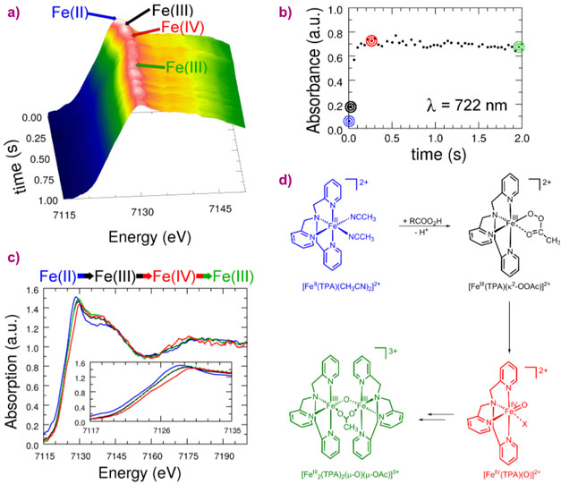 Time evolution of the Fe K-edge EDXAS spectra of [FeII(TPA)(CH3CN)2]2+ and CH3COO2H 