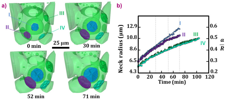 3D rendering of the investigated volume showing the growth of four necks during the sintering process at 670°C