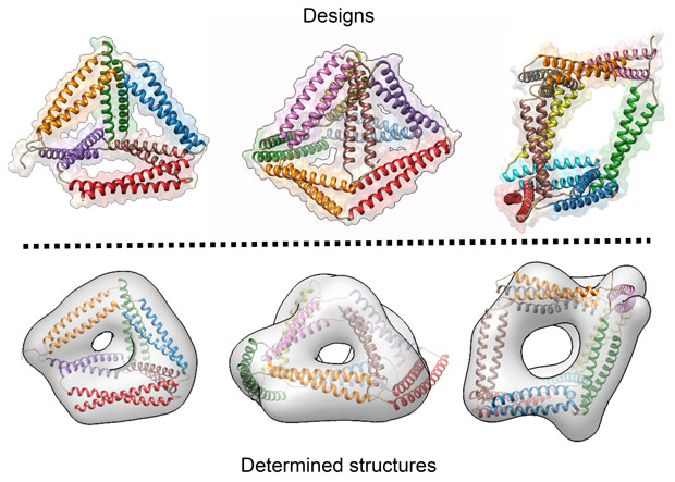 Designed and determined structures