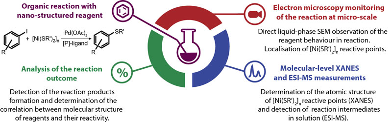 the complex approach for the study of nanostructured reagents in organic carbon-sulphur bond formation reaction