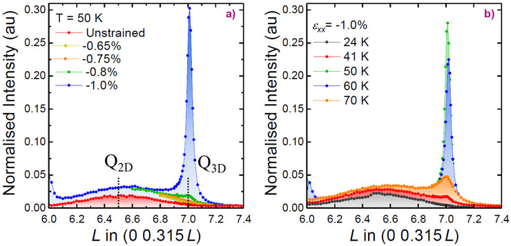 Strain  and temperature dependence  of the elastic peak intensity along the (0 0.315 L) direction