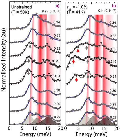 Phonon spectra along the (0 K 7) direction recorded below Tc under unstrained and -1% strained conditions.