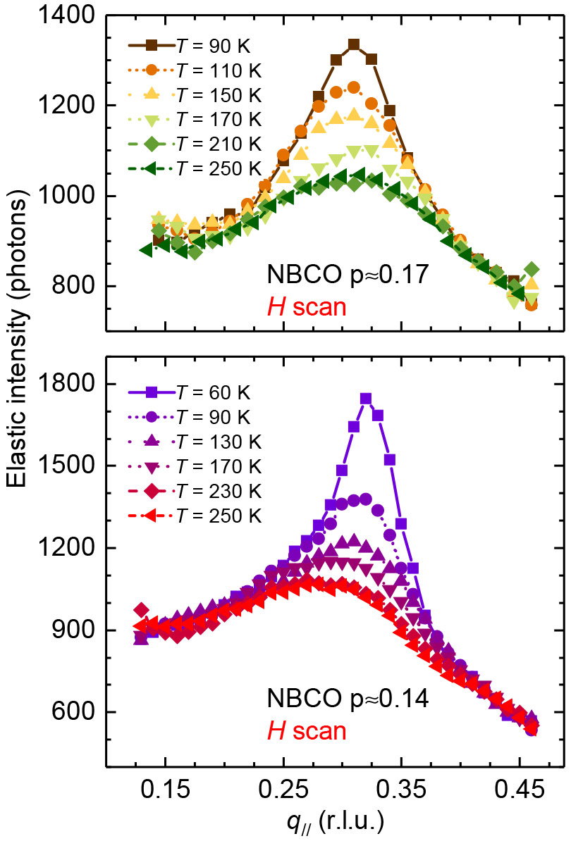 Charge density fluctuations in cuprates
