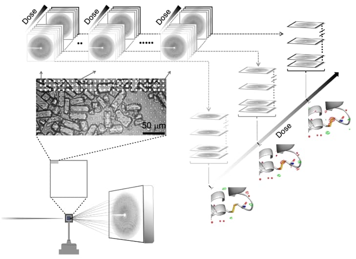 Serial radiation damage raster-scanning approach