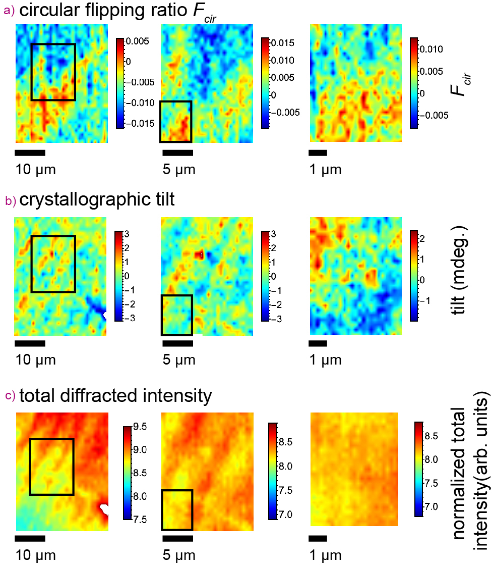 evans_Fig2.jpg (Figure 5)