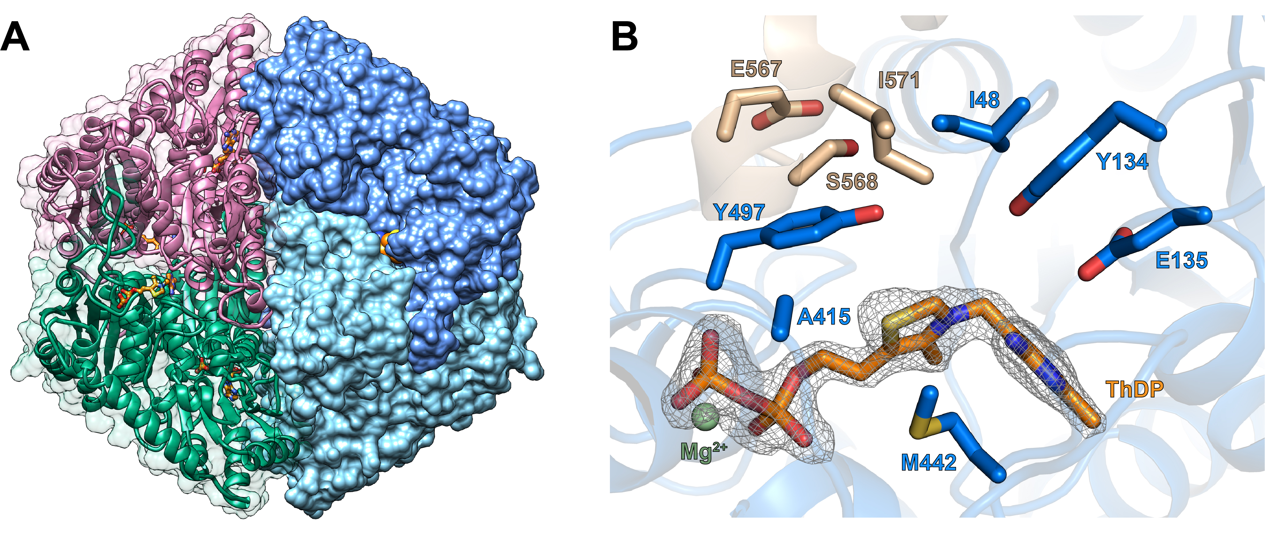Fig.1 MeOXC structures.jpg