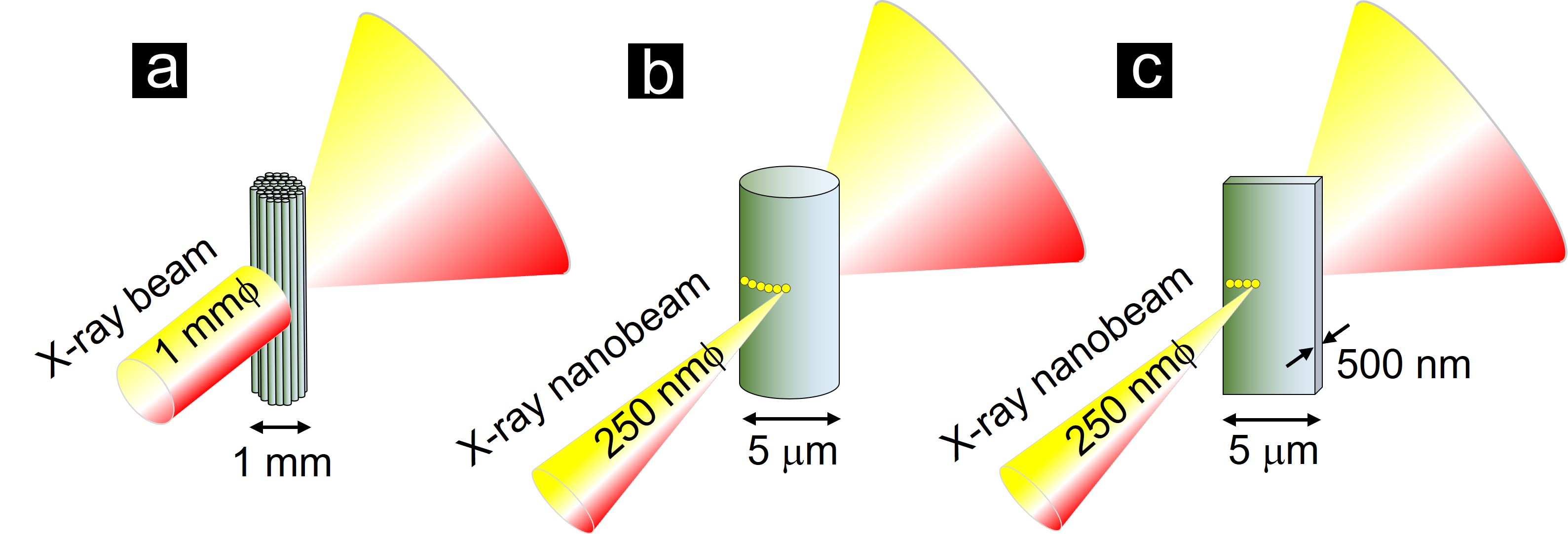 Figure 1.jpg