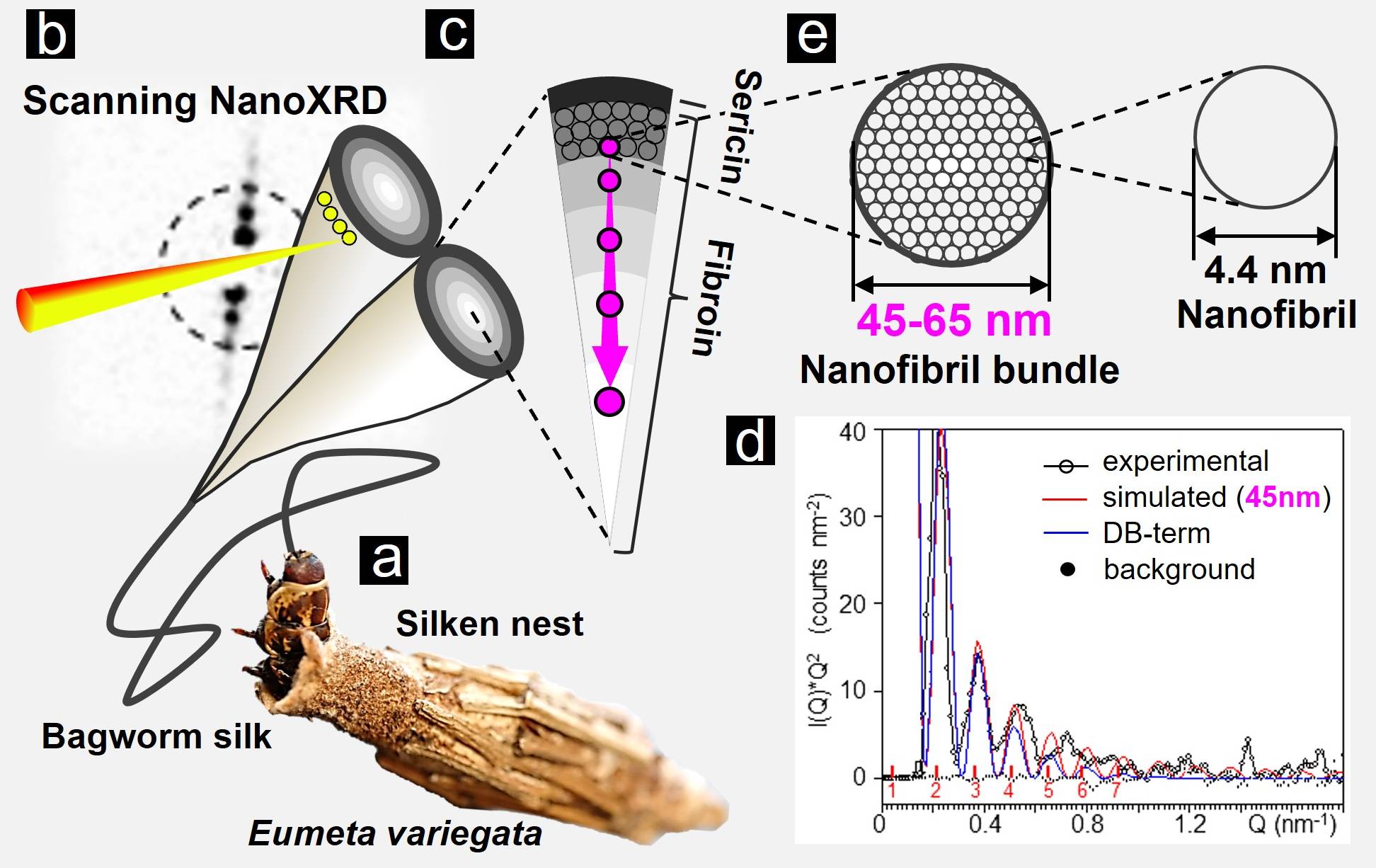 Figure2.jpg