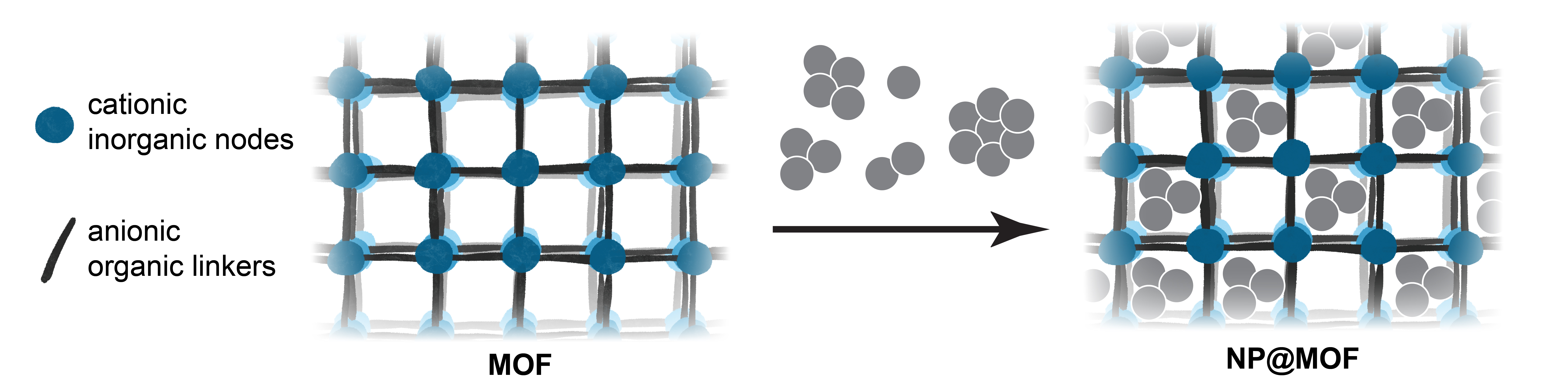 Fig.1.jpg
