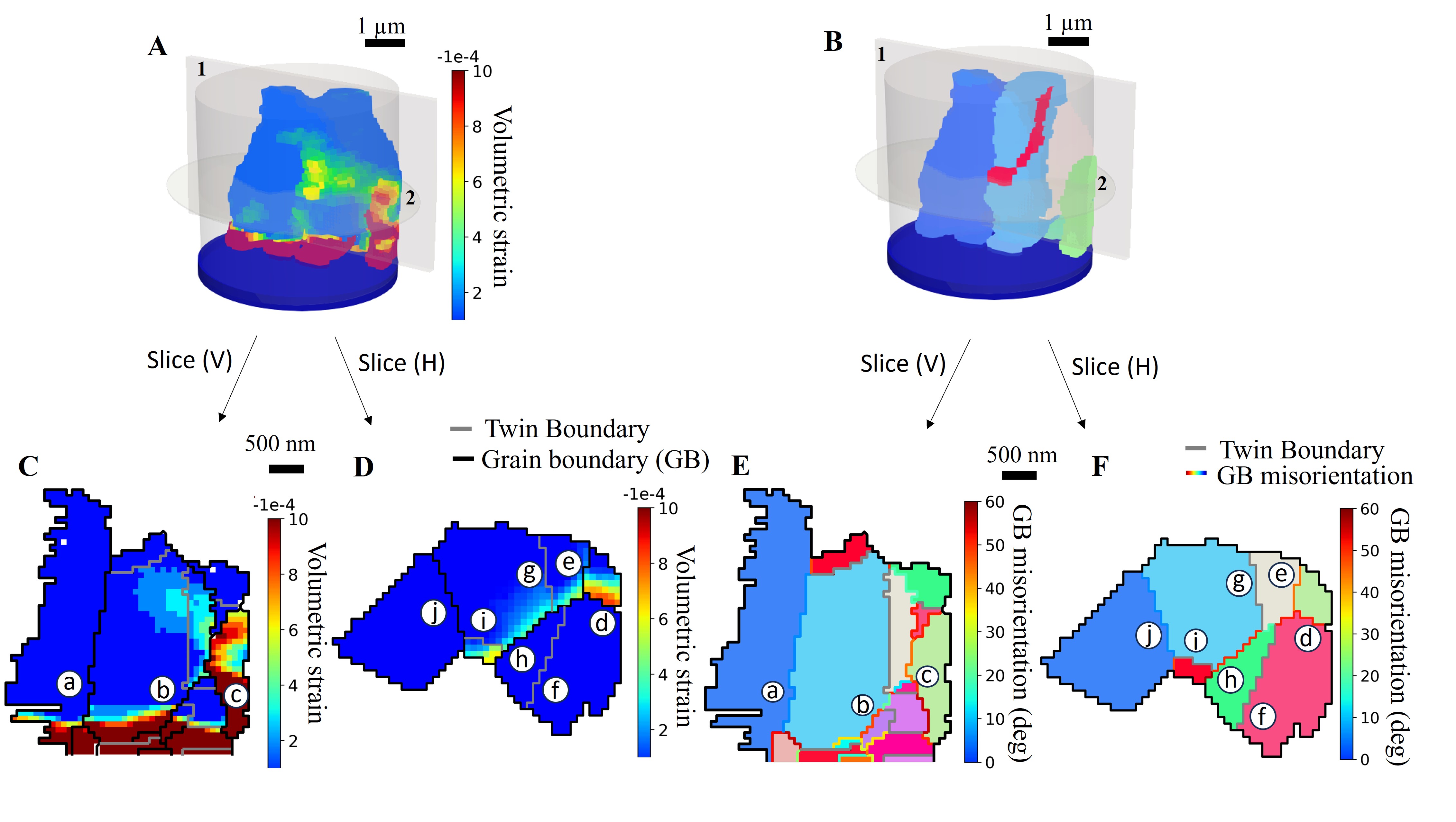 Fig.2.jpg