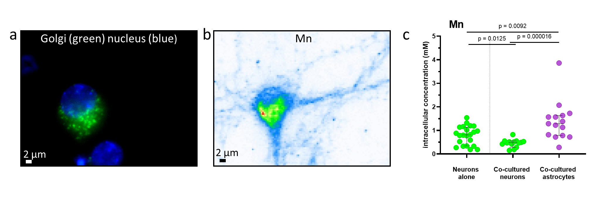 Fig1.jpg