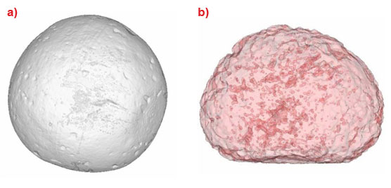 Synchrotron microtomography of 2 mm beryllium pebbles