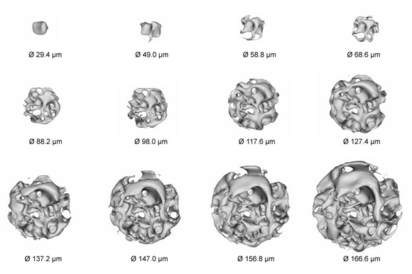 The void spatial distribution complexity in a beryllium pebble