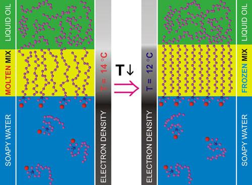 Pictorial summary of the interfacial phase transition.