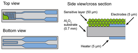 Schematic view of the cross section of the SnO2-based sensor.