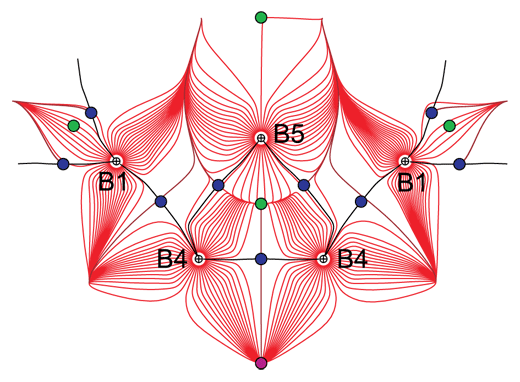 Gradient trajectories of the electron density in high-pressure γ-B28 phase of boron.