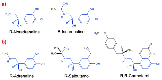 Structures of some natural and synthetic agonists of β-adrenergic receptors.