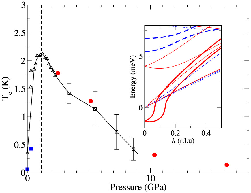 The role of electronphonon coupling in understanding the phase diagram