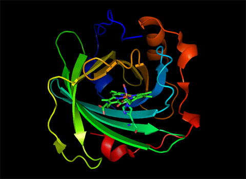 Normal mode of NP2-NO 70 cm-1 obtained via QM/MM calculations