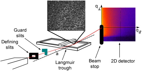 Setup used for XPCS experiments on Langmuir monolayers