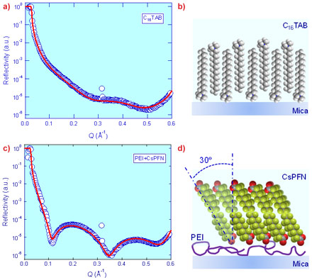 Reflectivity for C16TAB and CsPFN-PEI