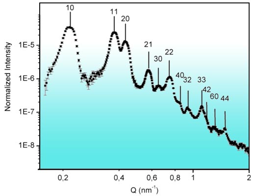 GISAXS spectrum of a Langmuir monolayer