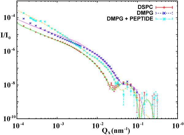 Diffuse scattering (symbols) and the best fit (lines) measured at a grazing angle below the critical angle of total reflection at a hexadecane/water interface for  DSPC, DMPG and DMPG in the presence of an antimicrobial peptide PGLa.