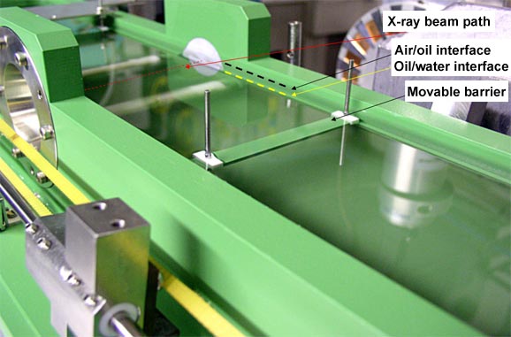 Langmuir trough for studying Liquid/Liquid interface