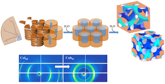 Schematics of the self-assembly process of a wedge-shaped sulfonate.