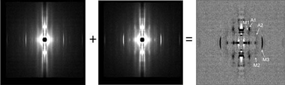 Low-angle diffraction pattern during stretch, isometric contraction and their difference diagram