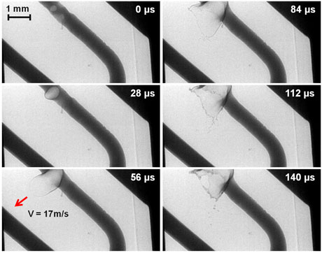 Pore formation in an electric wire leading to the rupture of a fuse