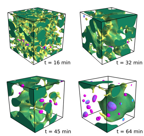 Rendering in 3D of the barium-rich phase during coarsening.