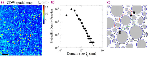 Spatial map of the CDW puddles size, probability density function of the CDW puddles size and pictorial view of the superconducting current running in the interface space between CDW puddles