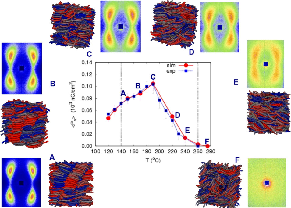 A novel nematic liquid crystal phase with ferroelectric response