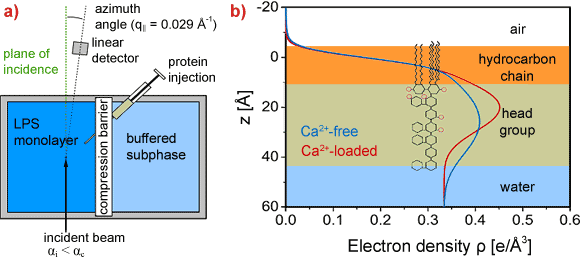 Schematic illustration of the GIXOS setup and  the electron density profiles reconstructed from the GIXOS signals.