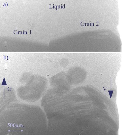 Images of AlPdMn QC growing from the melt: