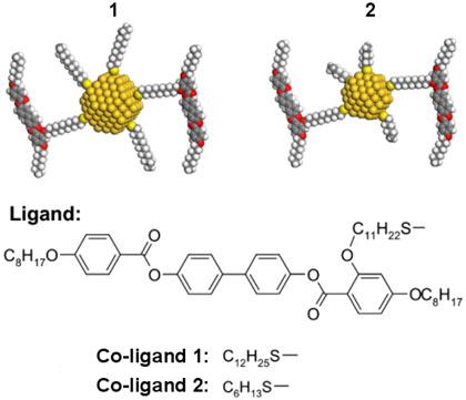 Gold nanoparticles coated with mesogens and alkylthiols